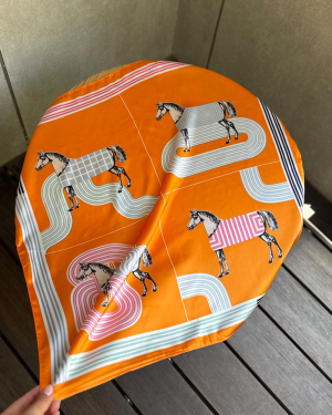 horse collection